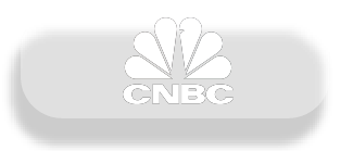 美国全国广播公司财经频道(CNBC)援引了《财富》商业洞察(Fortune Business Insights)的著名新闻